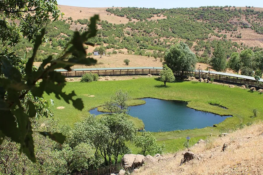 Bingöl · Yüzen Adalar